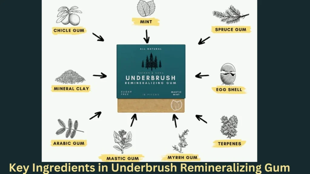 Key Ingredients in Underbrush Remineralizing Gum