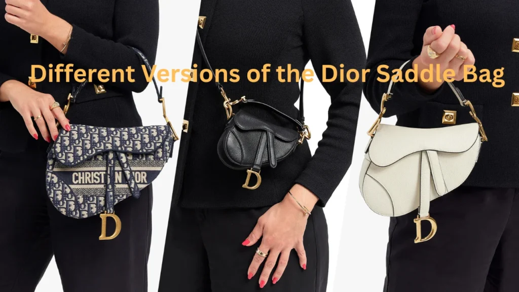 Different Versions of the Dior Saddle Bag