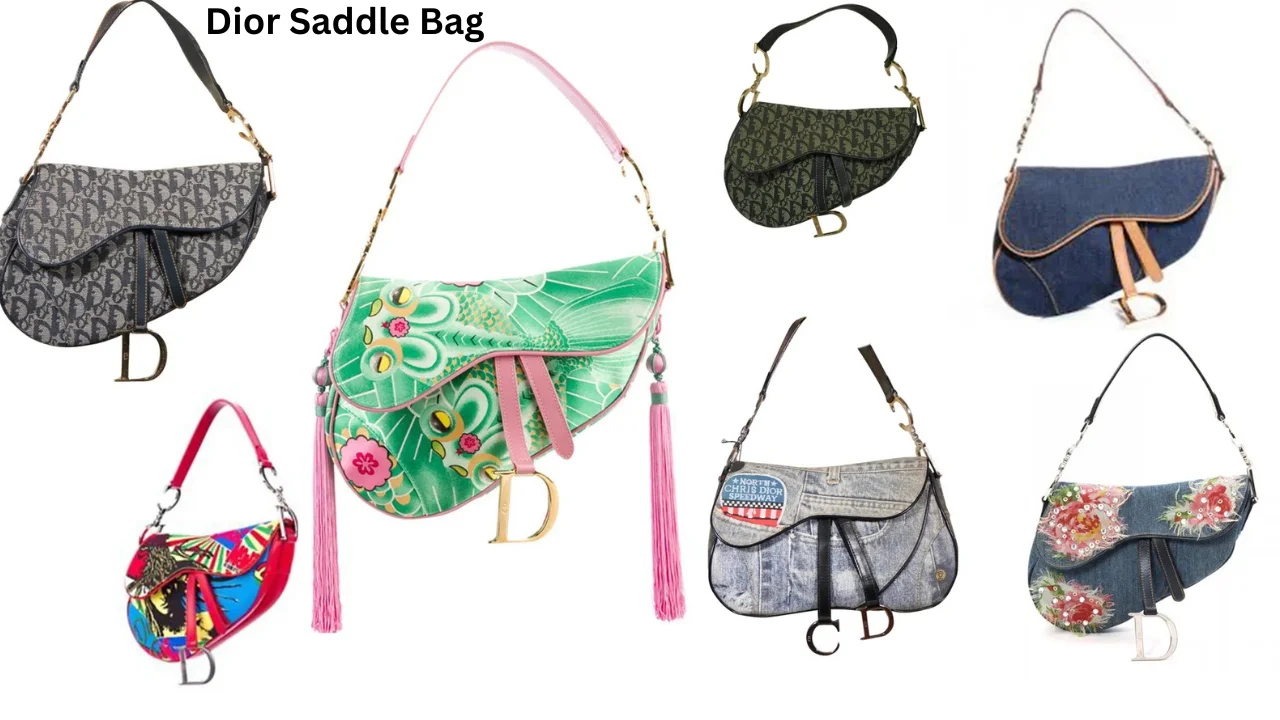 dior saddle bag