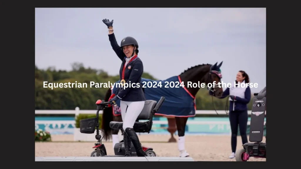 Equestrian Paralympics 2024 2024 Role of the Horse