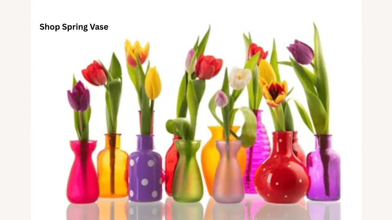 shop spring vase